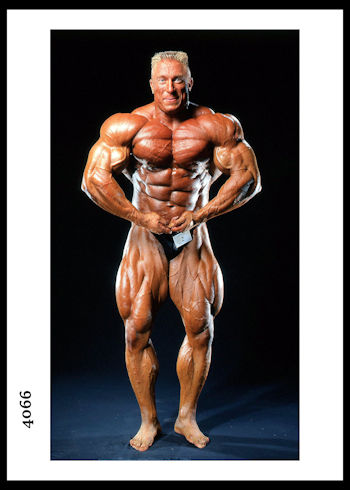 BODYBUILDER 4066