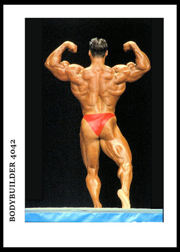 BODYBUILDER 4042
