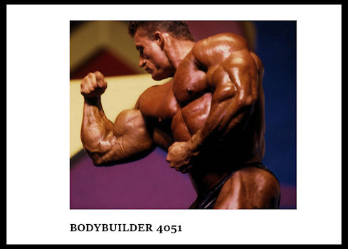 BODYBUILDER 4051