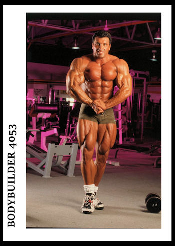 BODYBUILDER 4053