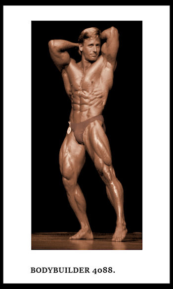 BODYBUILDER 4088