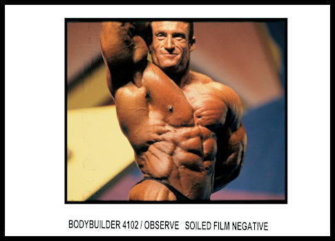 BODYBUILDER PRINT  4102